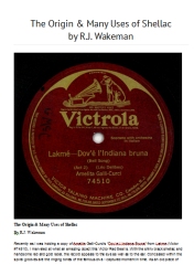History and Uses for Shellac